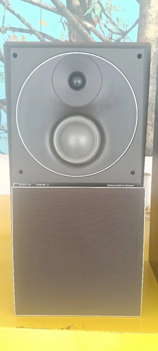 Pareja Altavoces Bang & Olufsen