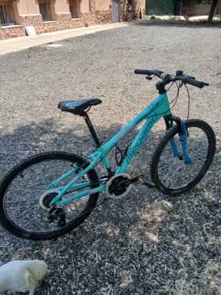 Bicicleta Megamo Infantil 24 Impecable