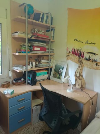 Escritorio con estantería