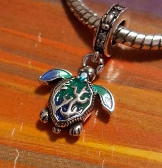 Charm Tortuga