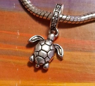 Charm Tortuga