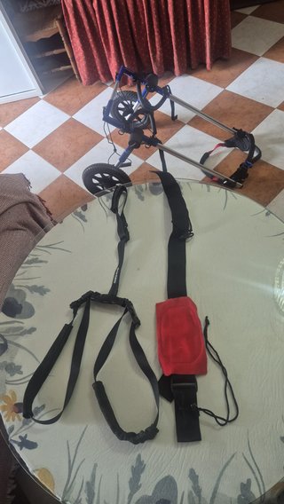 Sedia a rotelle Ortocanis per cani di grossa taglia