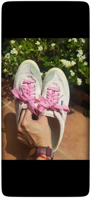 Zapatillas Kawasaki Mujer 39 Lazo Rosa Bordado