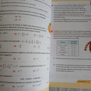 Caderno de Fichas - MX 8 - Matemática