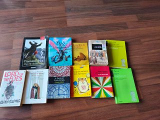Lote de 11 libros de lectura (ESO/Bachillerato)