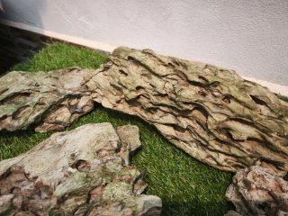 Piedras Dragón Acuario Decoración