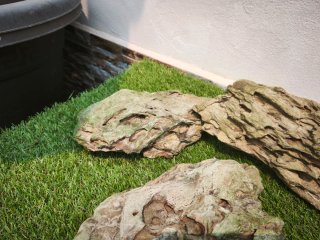 Piedras Dragón Acuario Decoración