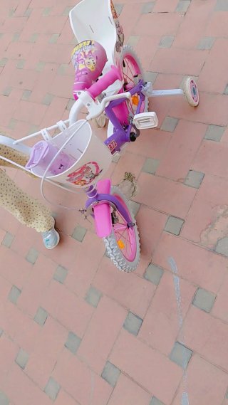 Bicicleta infantil morada con ruedines