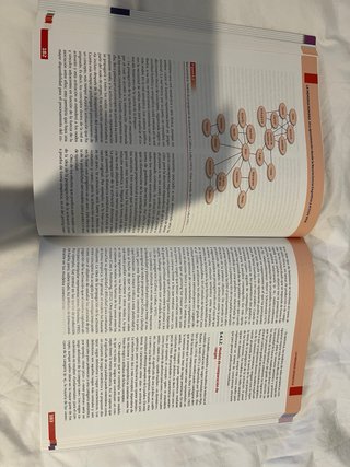 Libro psicología de la memoria UNED