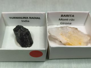 Lote de 12 minerales en cajas de 4 x 4