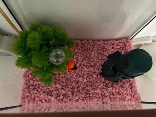 Acuario Ekai 12 litros con accesorios