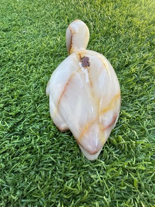 Tortuga de mármol