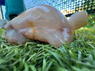 Tortuga de mármol