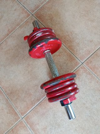 Mancuernas Salter ajustables SE ENTREGA EN MANO