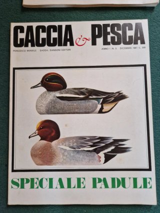 N.25 Riviste mensili "Caccia & Pesca "