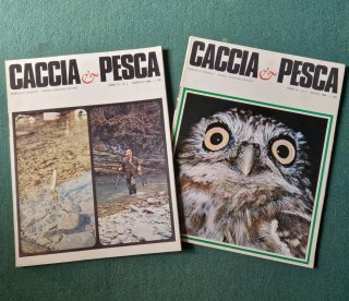 N.25 Riviste mensili "Caccia & Pesca "