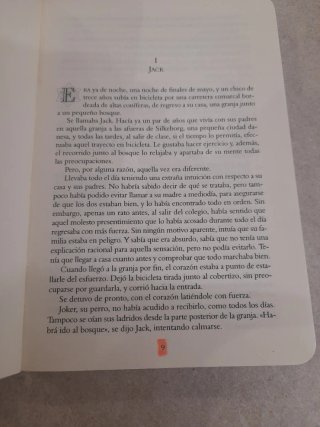 Memorias de Idhún, La Resistencia