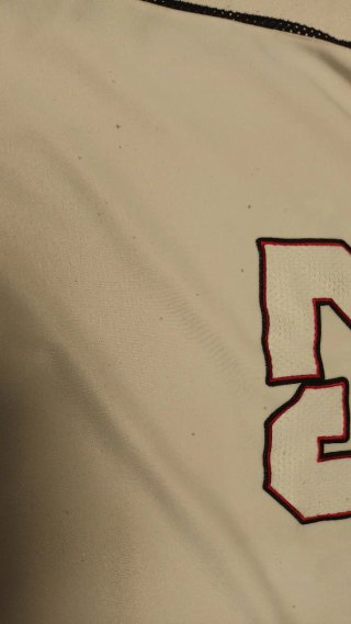 Camiseta Baloncesto Karl Kani Roja