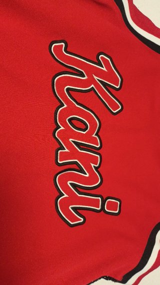 Camiseta Baloncesto Karl Kani Roja