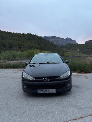 Peugeot 206 GTI 138cv (2001)
