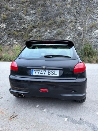 Peugeot 206 GTI 138cv (2001)