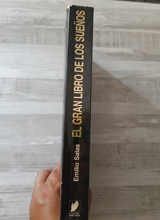El Gran Libro de los Sueños - Emilio Salas
