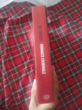 Romanzo criminale