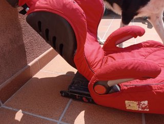 Sillita / Alzador Coche Jane