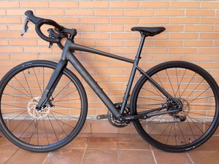 Trek Domane AL 2