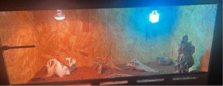 Terrario 100x60x40