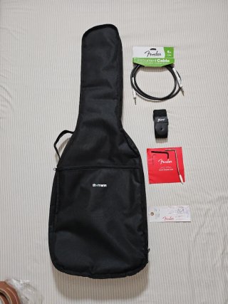 Guitarra Fender Player Stratocaster MN TPL