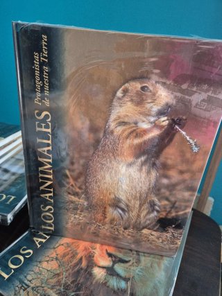 Los animales.Protagonistas de nuestra Tierra.