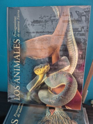 Los animales.Protagonistas de nuestra Tierra.