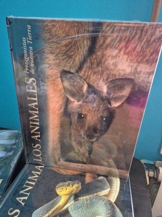 Los animales.Protagonistas de nuestra Tierra.