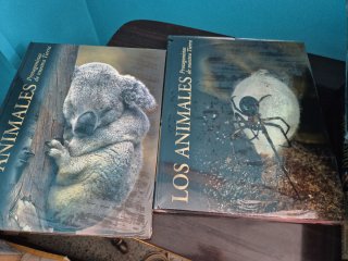 Los animales.Protagonistas de nuestra Tierra.