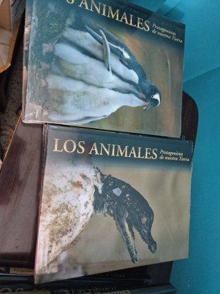 Los animales.Protagonistas de nuestra Tierra.