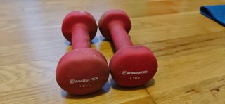 Pareja Mancuernas Energetics 1.5 kg
