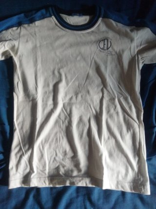 Uniforme Gimnasia Colegios Vicencianos