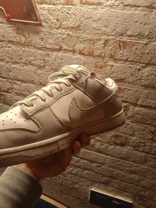Nike Dunk Grey Fog