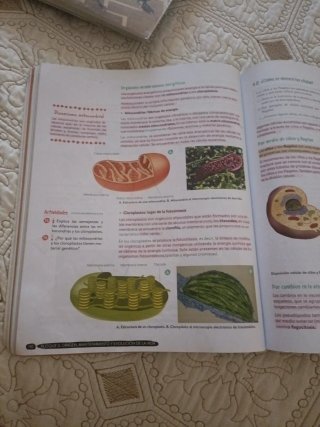Biología y Geología, 4 ESO, Andalucía