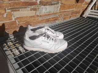 Tenis Reebok Classic Talla 37