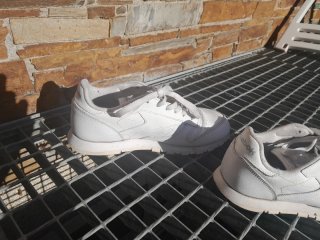 Tenis Reebok Classic Talla 37