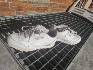 Tenis Reebok Classic Talla 37