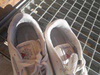Tenis Reebok Classic Talla 37