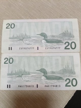 Biglietto da 20 dollari canadesi