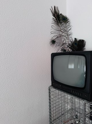 TV Antigua 9 Beige y Negro no funciona