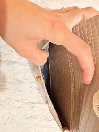 Cartera beige con cierre dorado