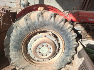Tractor Massey Ferguson 65