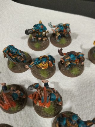 Figuras Blood Bowl Aenanos