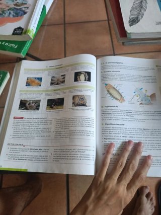 Biología, Geología y Ciencias Ambientales 1.º B...